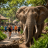 ETAPA ELEFANTE